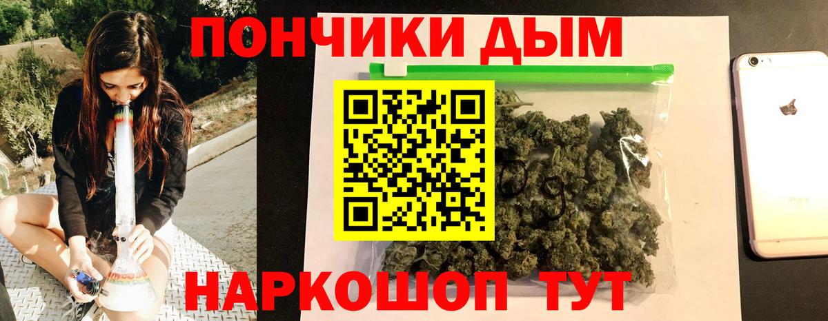 Конопля сатива Кувандык